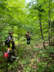 This is a picture of at dirt bikes riding in the Daniel Boone National Forest