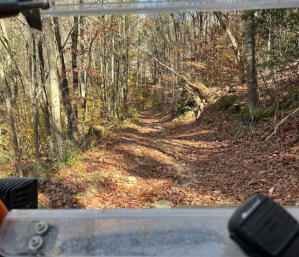 This is a picture of a side by side trail in the Daniel Boone National Forest. 