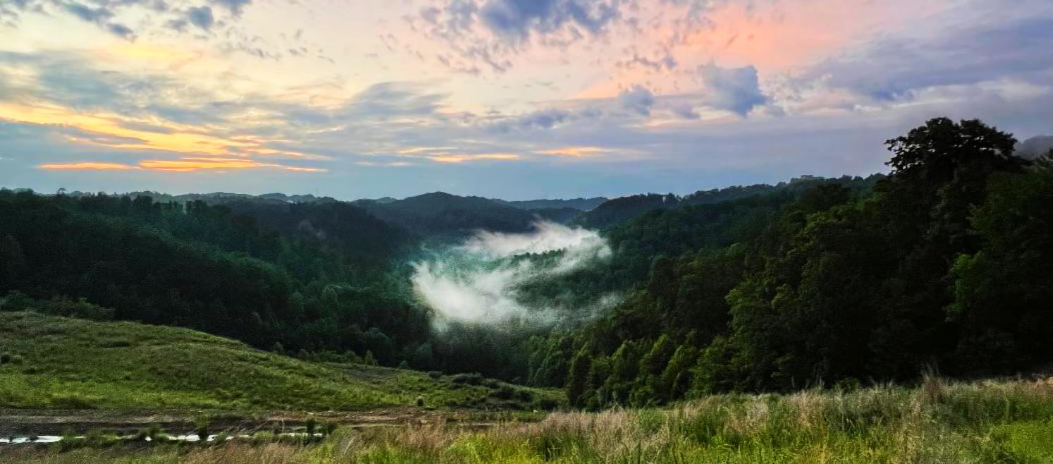 Picture of Daniel Boone National Forest aerial view